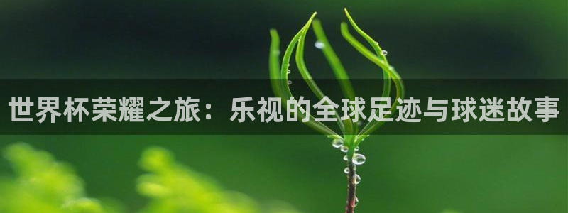2026世界杯赛：世界杯荣耀之旅：乐视的全球足迹与球迷故事