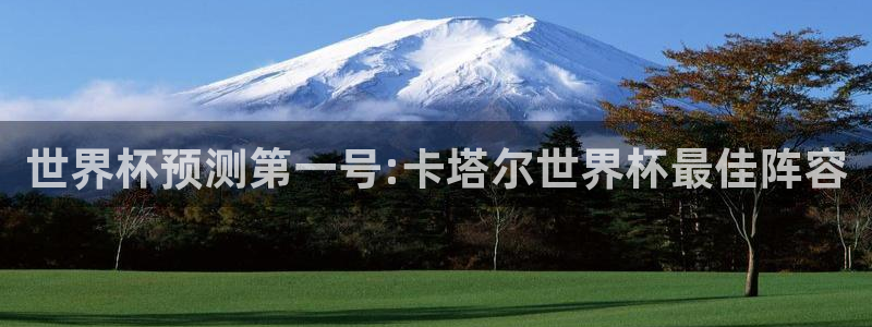 欧联杯直播：世界杯预测第一号:卡塔尔世界杯最佳阵容