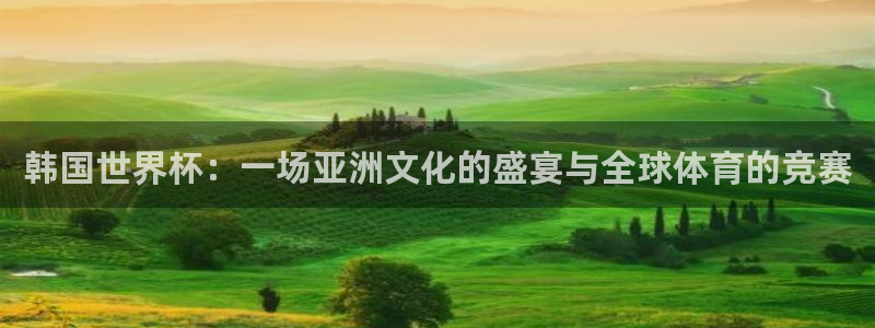 世界杯今日赛程直播：韩国世界杯：一场亚洲文化的盛宴与全球体育的竞赛