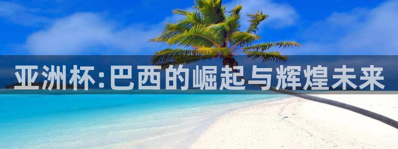世界杯球赛：亚洲杯:巴西的崛起与辉煌未来