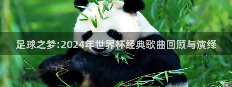 2026世界杯倒计时：足球之梦:2024年世界杯经典歌曲回顾与演绎