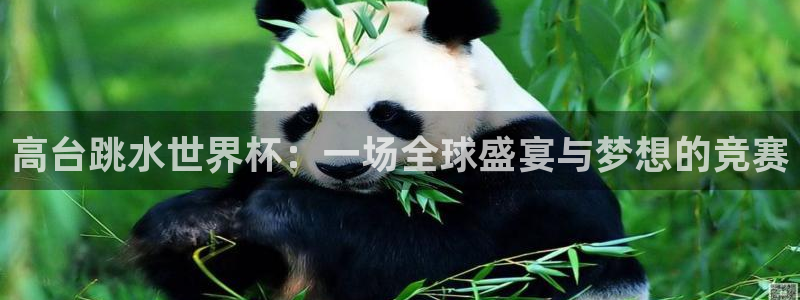 世界杯预选赛亚洲区赛程：高台跳水世界杯：一场全球盛宴与梦想的竞赛