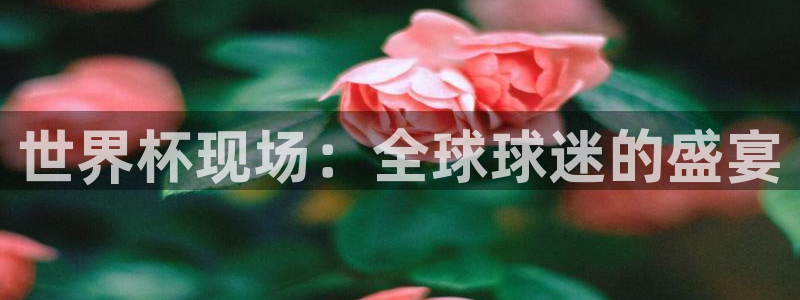足球杯：世界杯现场：全球球迷的盛宴