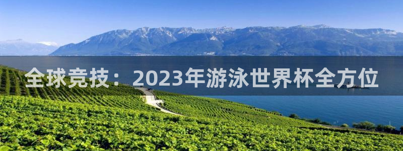 足球杯：全球竞技：2023年游泳世界杯全方位