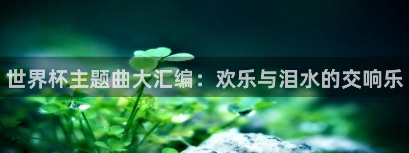 世界杯：世界杯主题曲大汇编：欢乐与泪水的交响乐