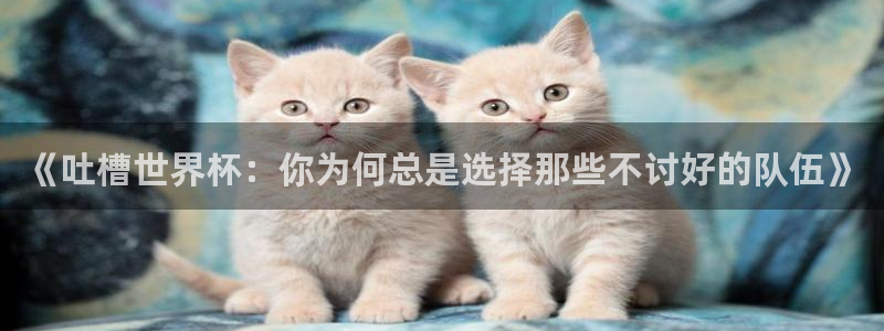 免费足球比赛直播高清：《吐槽世界杯：你为何总是选择那些不讨好的队伍》