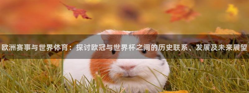 世界杯预选赛2026：欧洲赛事与世界体育：探讨欧冠与世界杯之间的历史联系、发展及未来展望