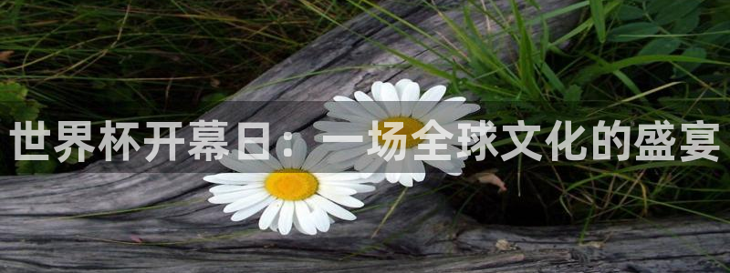 欧联杯直播：世界杯开幕日：一场全球文化的盛宴