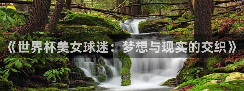 世界杯第一场比赛：《世界杯美女球迷：梦想与现实的交织》