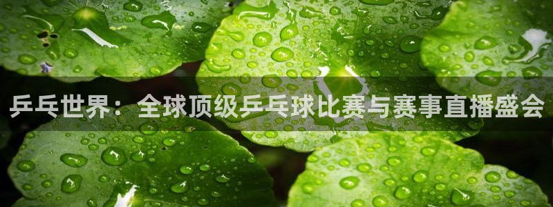 亚洲区世界杯预选赛：乒乓世界：全球顶级乒乓球比赛与赛事直播盛会