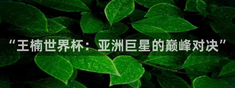 2026男足世界杯赛程：“王楠世界杯：亚洲巨星的巅峰对决”