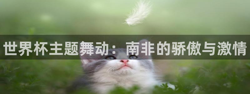 世界杯预选赛亚洲区积分榜：世界杯主题舞动：南非的骄傲与激情
